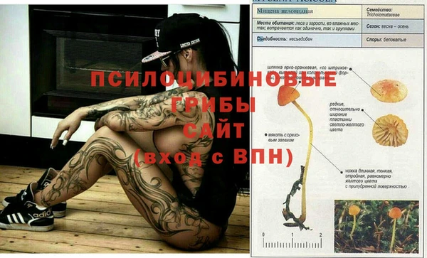 кокаин колумбия Алзамай