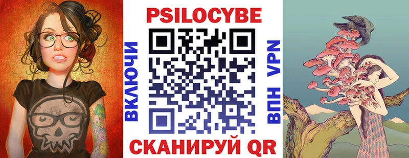 блэк спрут tor  Всеволожск  Галлюциногенные грибы Psilocybine cubensis 