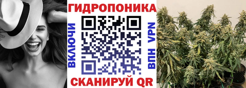 Бошки марихуана MAZAR  Всеволожск 